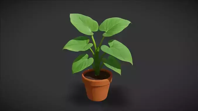 Indoor Plant 04