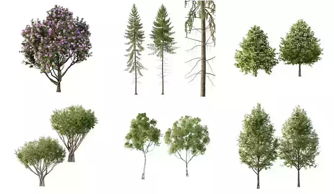 Excellent collection of Outdoor plants 12 Different Models 0030