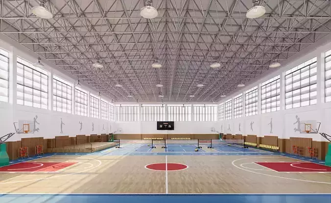 Multipurpose School Gymnasium Basketball and Badminton Court 