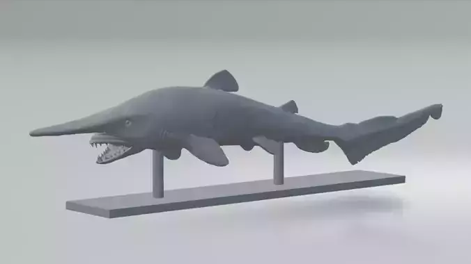 Goblin Shark Model