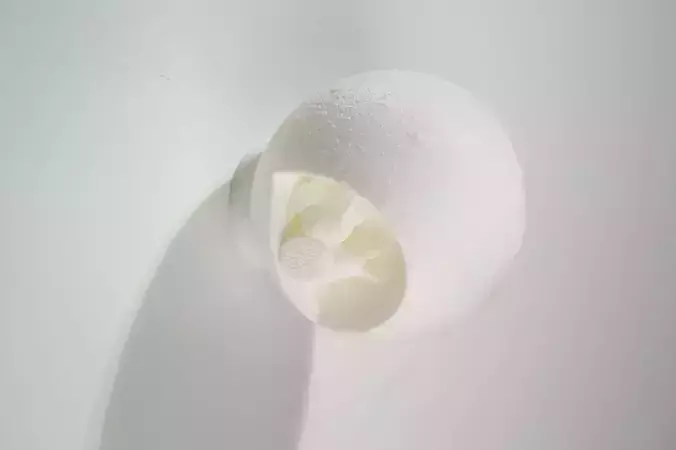 Bunnys Moonlight Feast