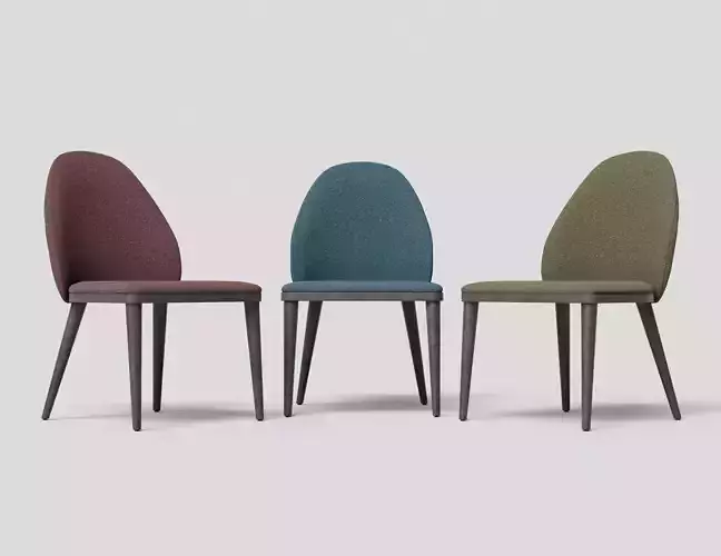 Elegant Dining Chair