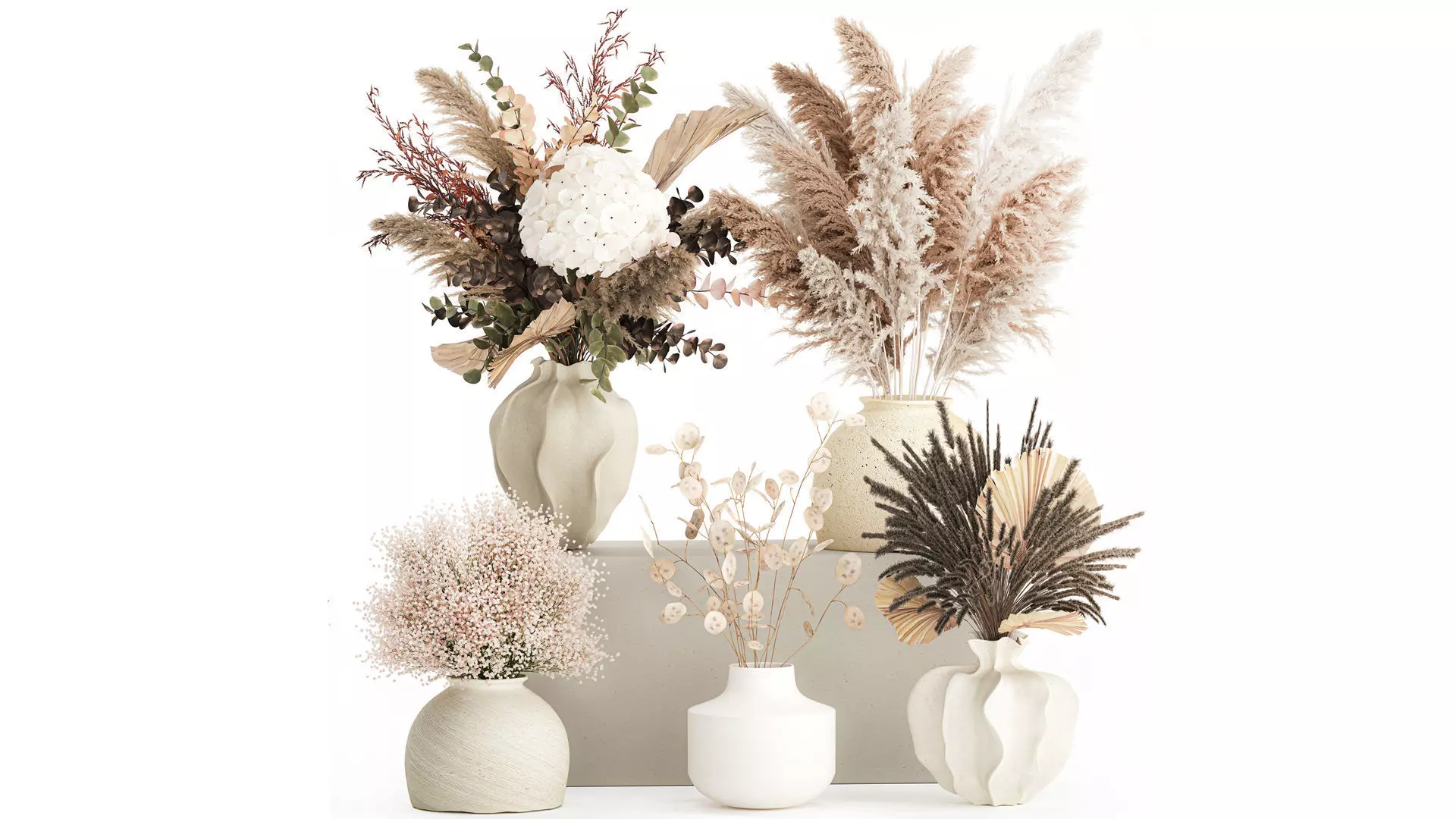 Collection dried flowers bouquets hydrangea pampas set new 3D model