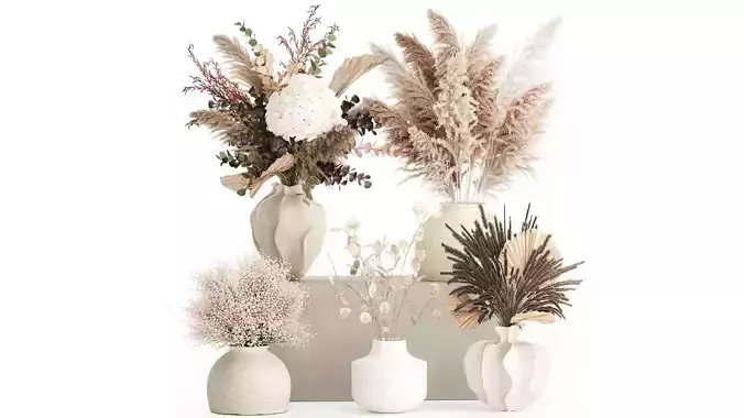 Collection dried flowers bouquets hydrangea pampas set new