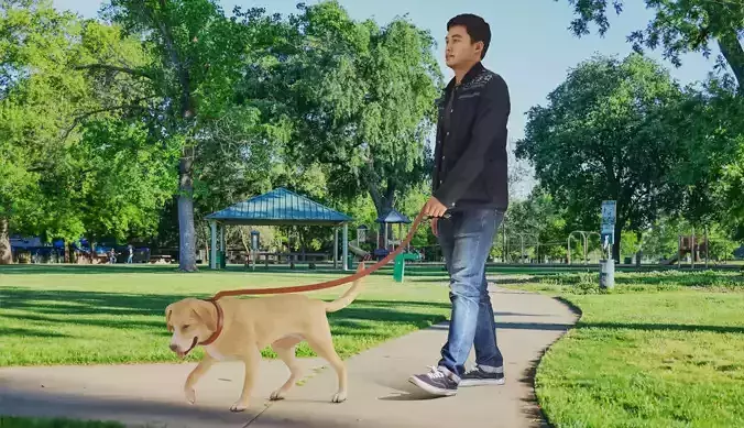 Walking with Mate 3D model