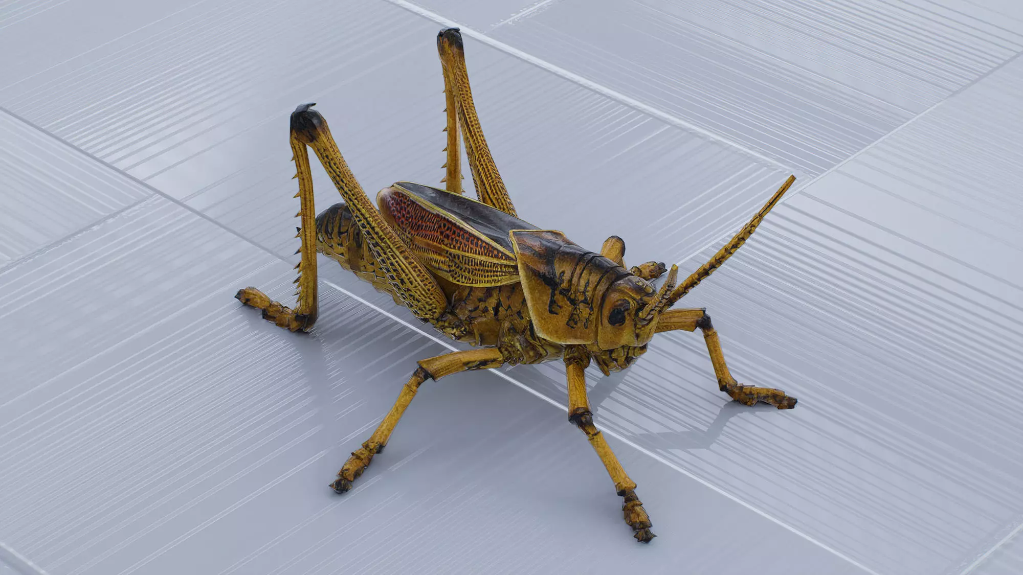 Locust Low-poly 3D model