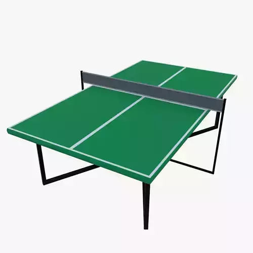 Ping pong table