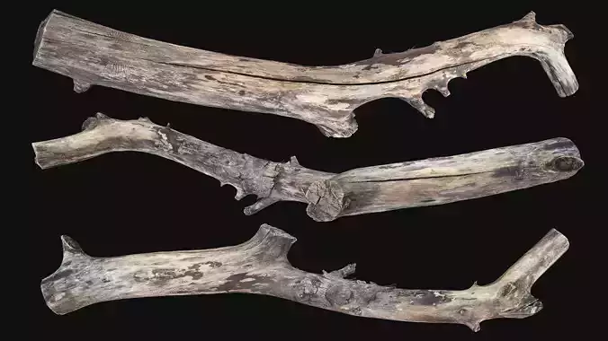 Realistic Tree Branch Wood 3D Scan in highpoly