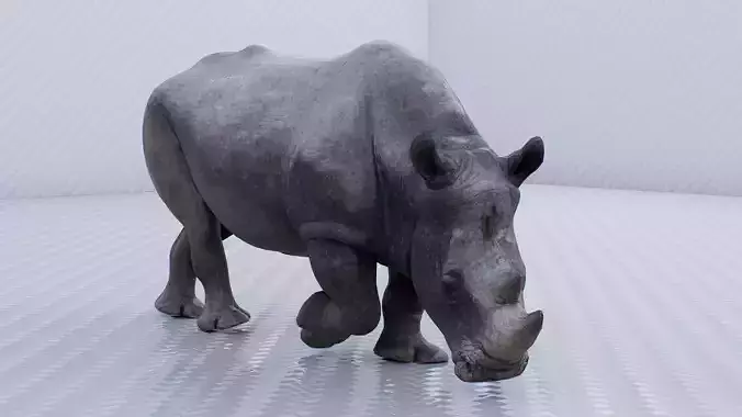 Rhino