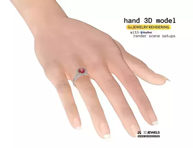 Female Hand 3D Model For Jewelry Rendering With KeyShot