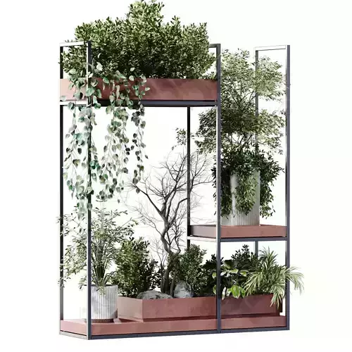 Green shelf and rack set 833