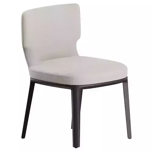 Ami Chair by De Padova