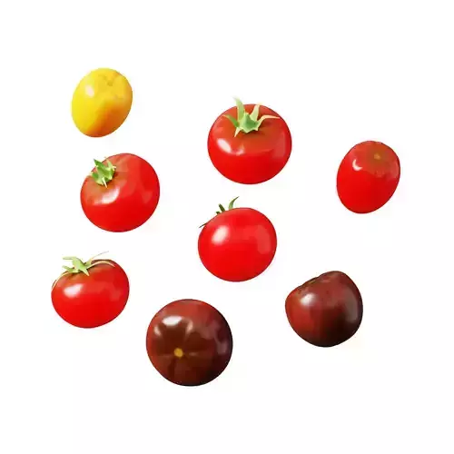 Tomato 01