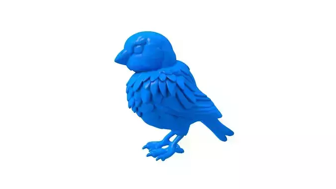 bird -  sparrow -  birdcore - bird aesthetic -  bird lover 