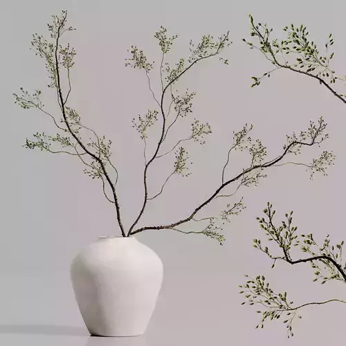 plants bouquet vase 57