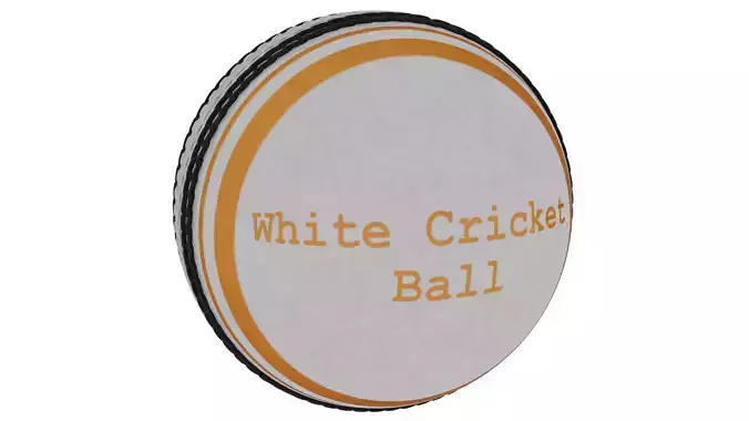 White Cricket Ball