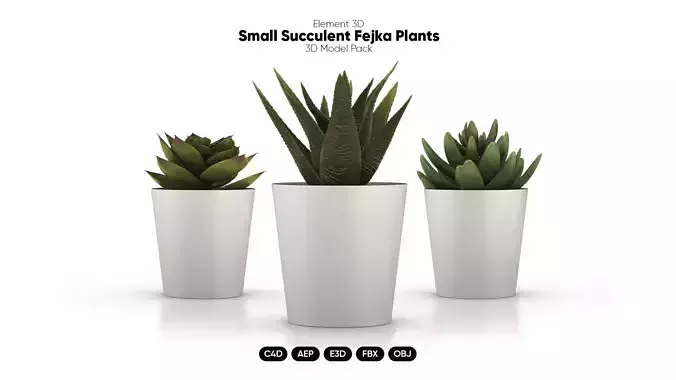 Small Fejka Plants 3D Models for Element 3D And Cinema 4D