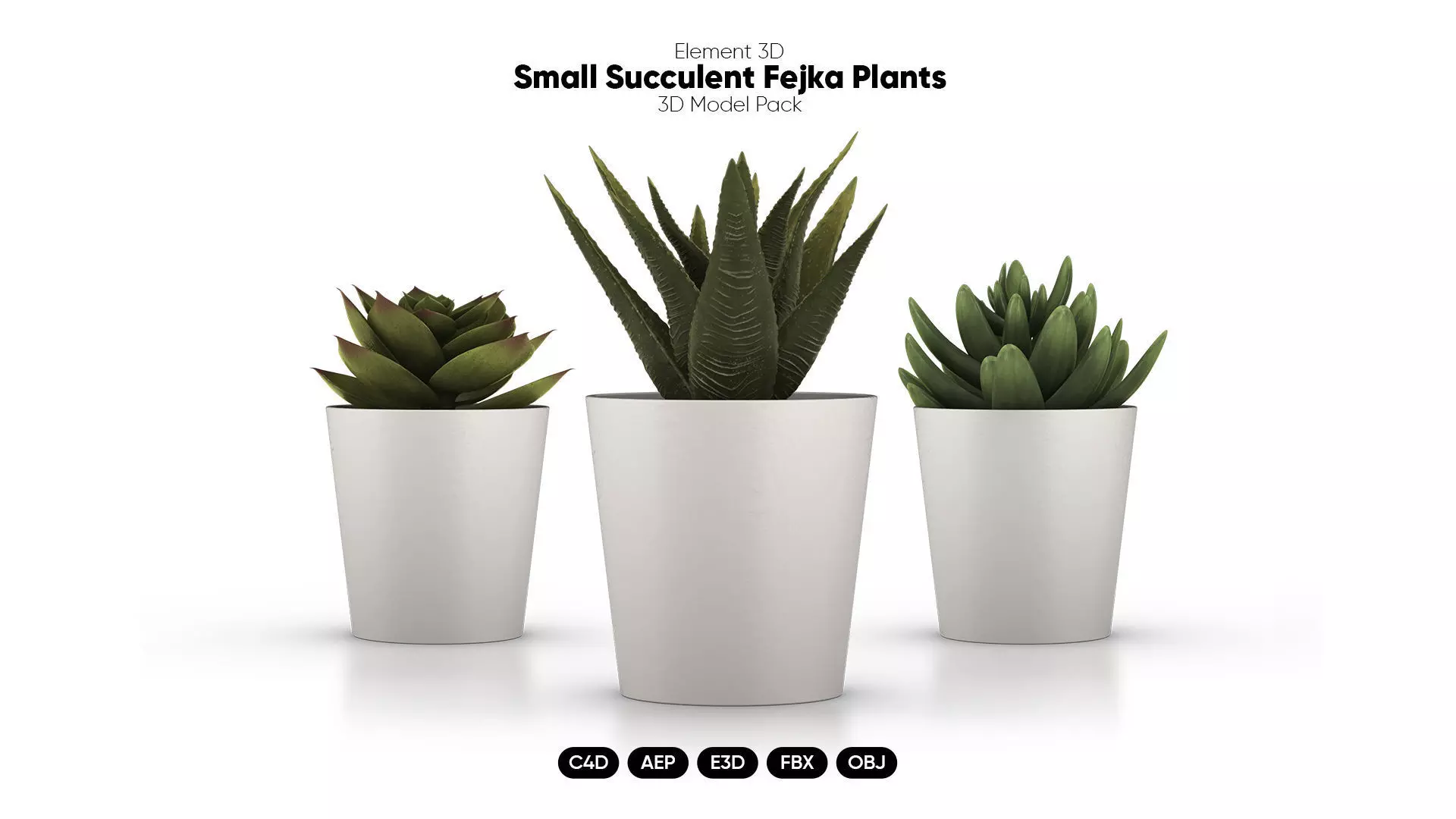 Small Fejka Plants 3D Models for Element 3D And Cinema 4D 3D model