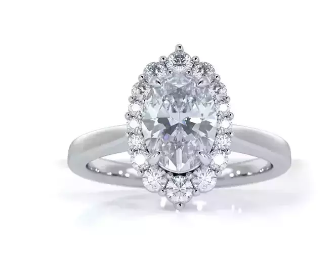 Oval Solitaire With Unique Pointed Halo 3dm