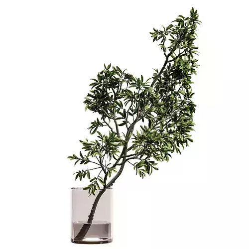 plants bouquet vase 59