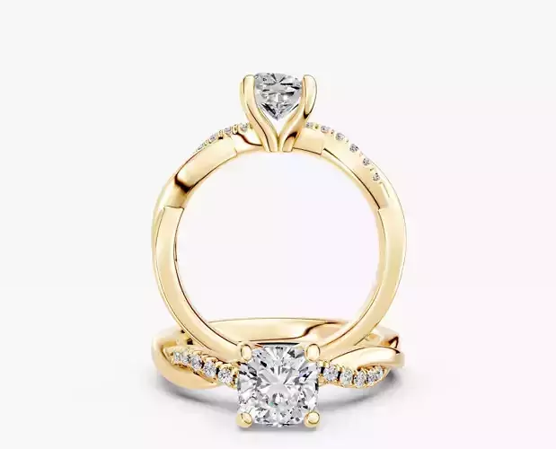 ZABS0021B CUS ENGAGEMENT