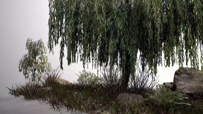 Salix Trees Pack - Game Ready PBR LODs