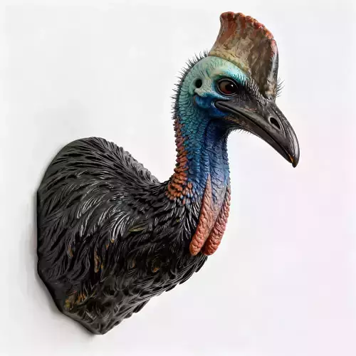 Cassowary