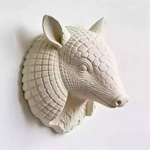 Armadillo