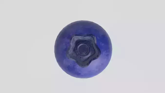 Stylized Low-Poly Blueberry Low-poly 3D model 7