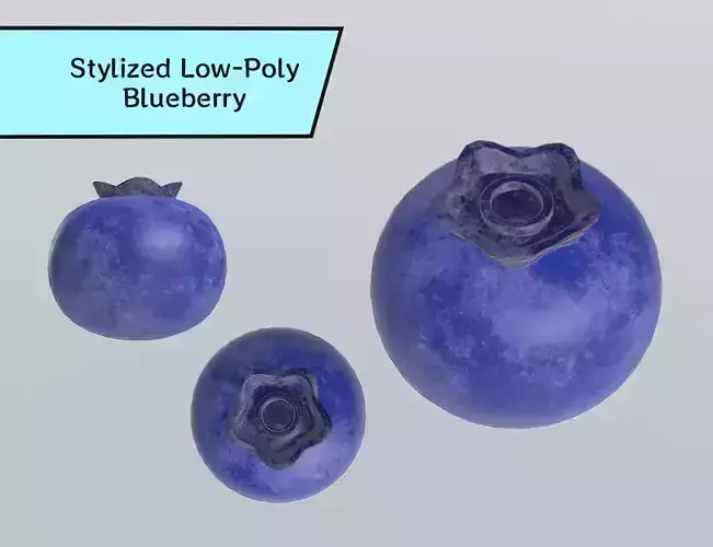 Stylized Low-Poly Blueberry
