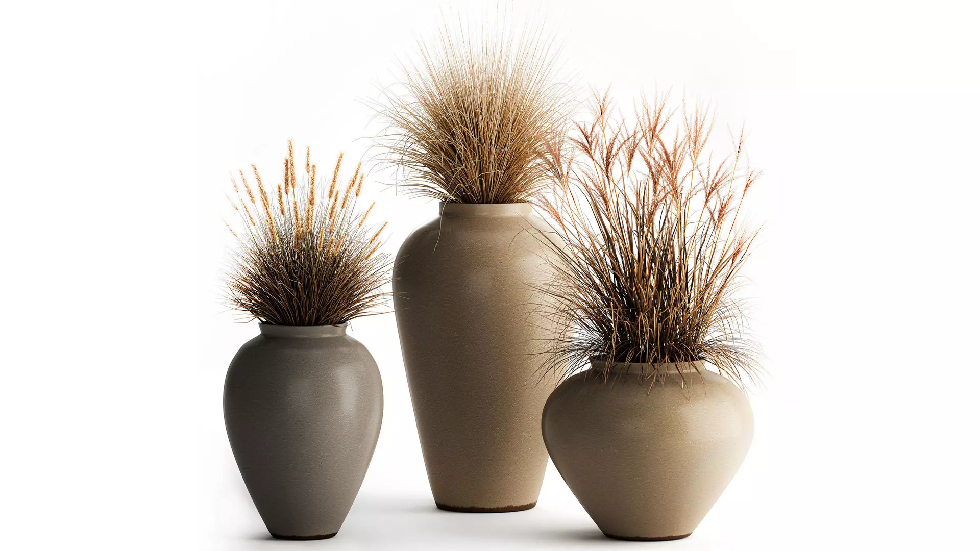 Bouquet dried flowers branches bushes reeds vase set 3D model