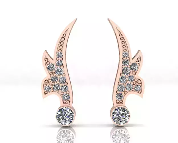 round jewelry earring