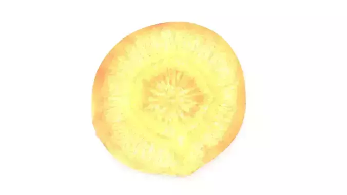 Sliced Carrot 3D model 2