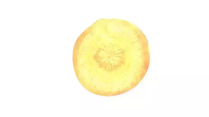 Sliced Carrot 3D model 5