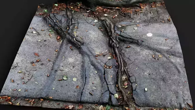 road broken asphalt roots patch 2 PBR photogrammetry