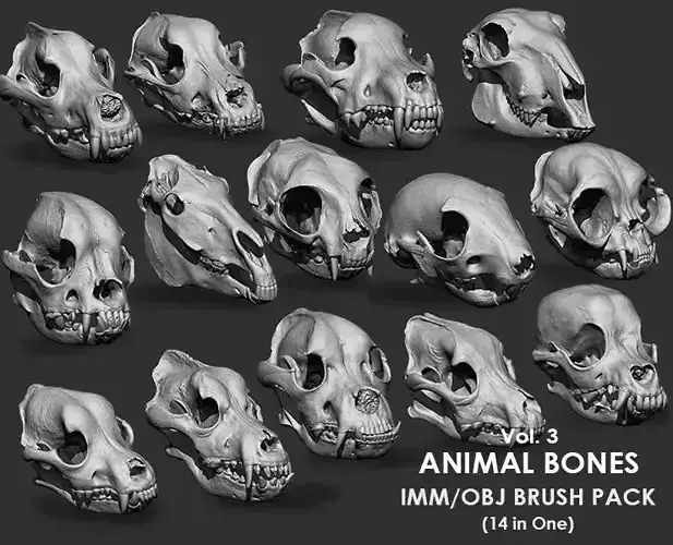 Animal Bones Collection IMM Stl Obj Brush Pack 14 in One Vol3