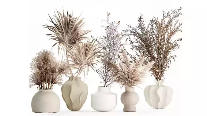 Collection dried flower bouquets pampas branches vase set