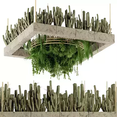 Hangingplants with cactus and plants set26