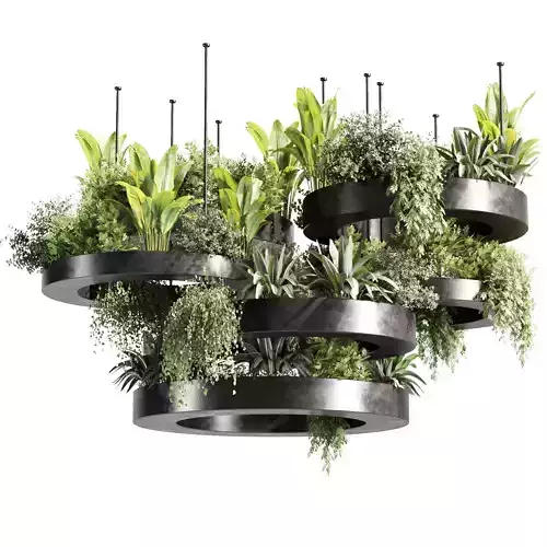 Indoor plants-Hanging plants set-30