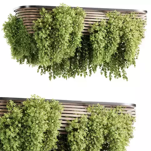 Indoor plants-Hanging plants set-32