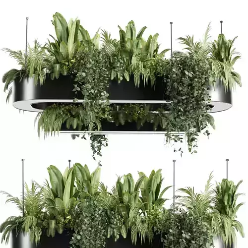 Indoorplants-Hanging plant With light-set33