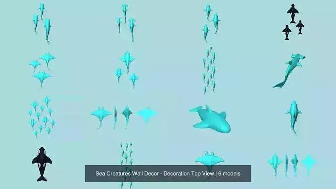 Sea Creatures Wall Decor - Decoration Top View