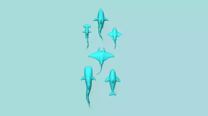 Sea Creatures Wall Decor - Decoration Top View