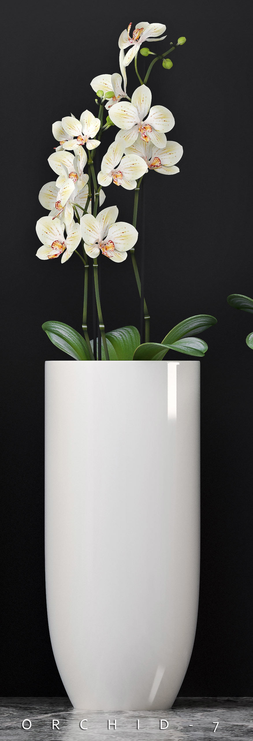 Orchid flower pot with in it 3D model_1