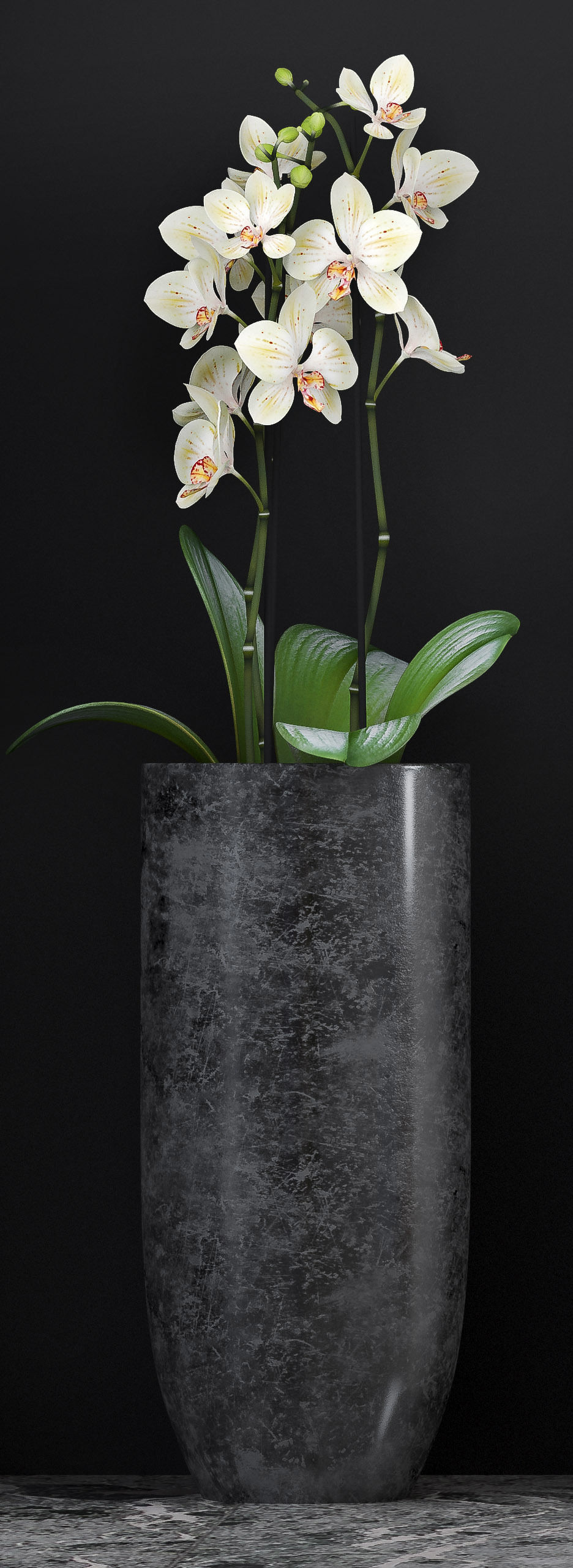 Orchid flower pot with in it 3D model_3