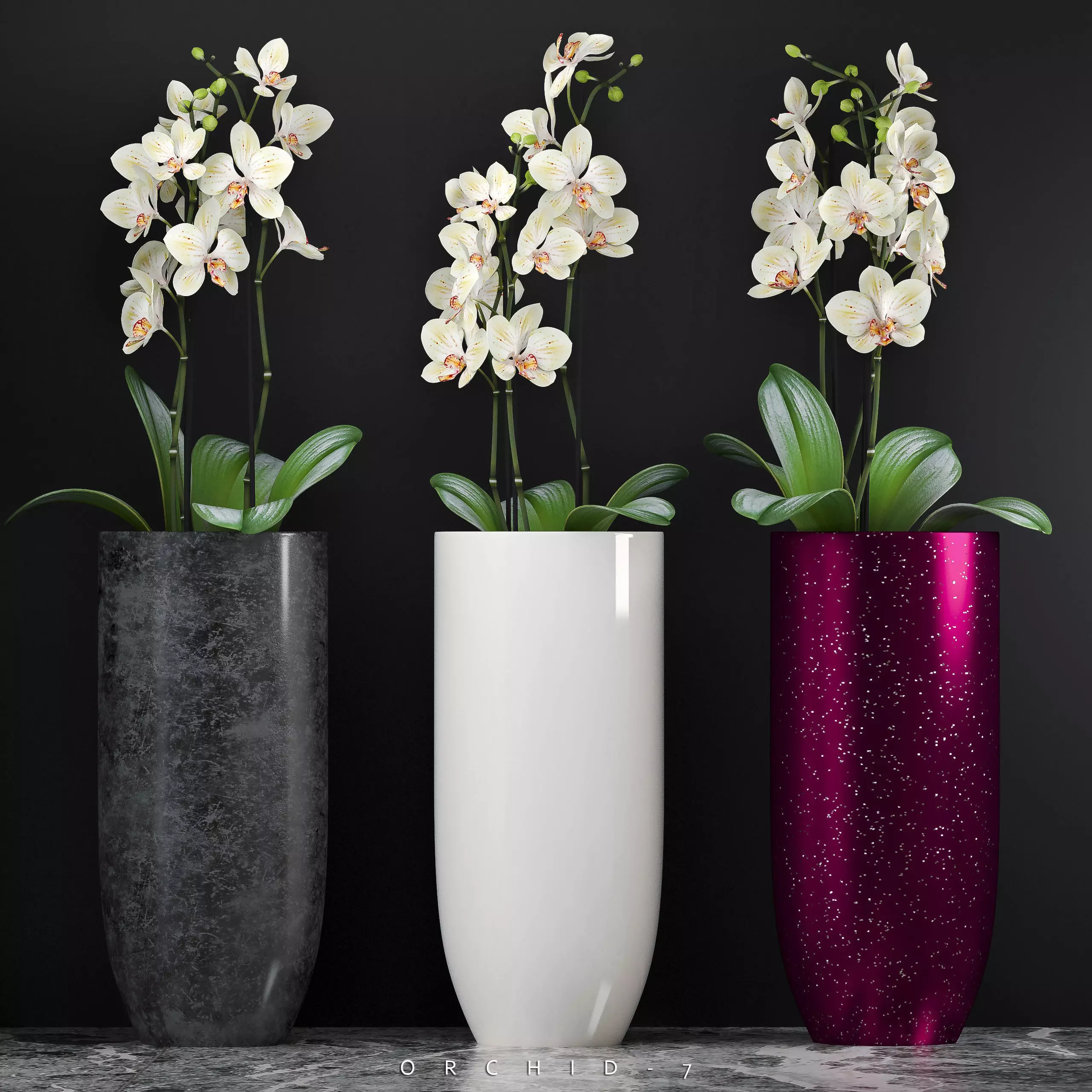 Orchid flower pot with in it 3D model_0