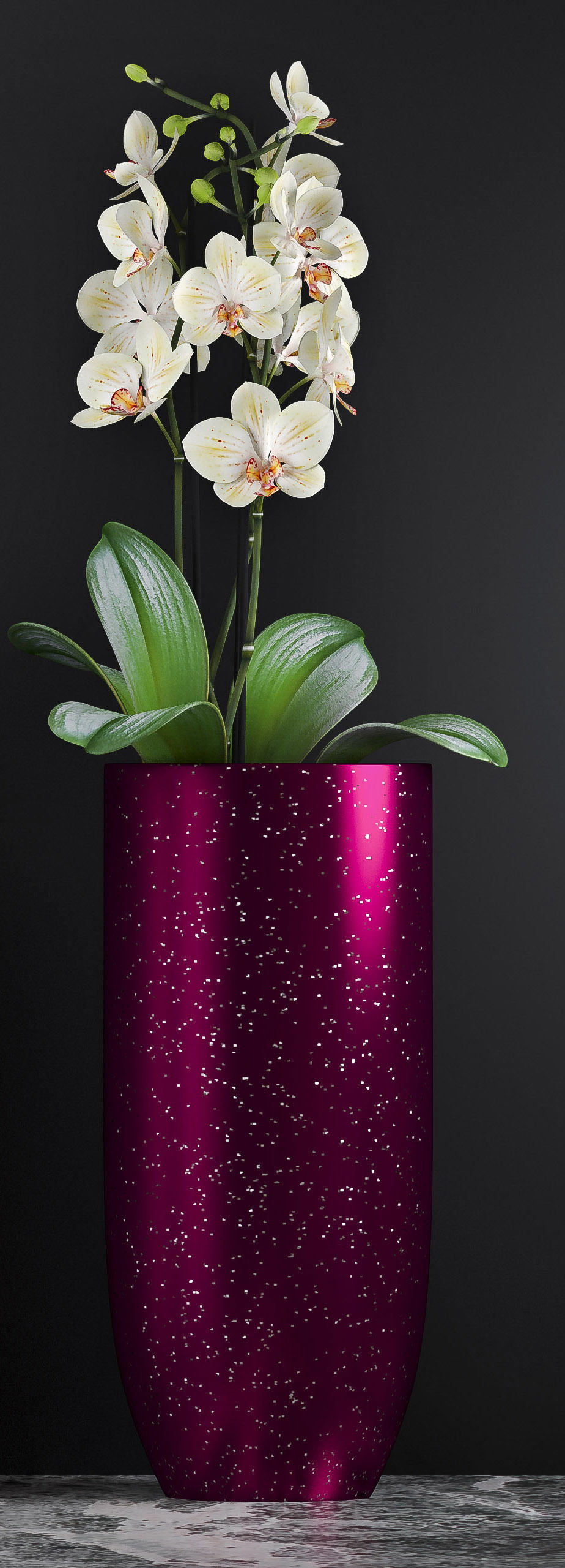 Orchid flower pot with in it 3D model_2