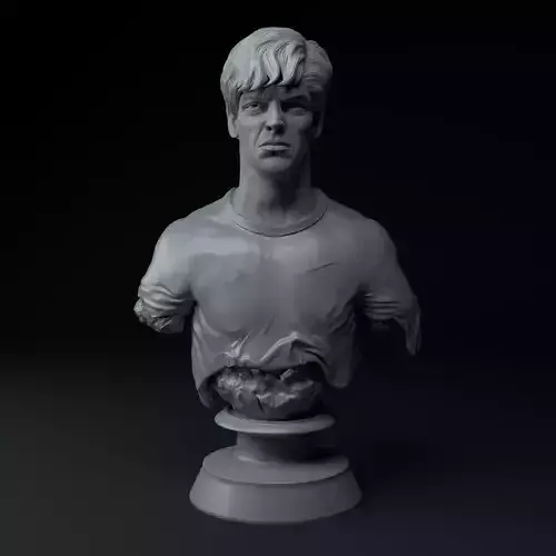 Jannik Sinner Premium 3D Bust STL