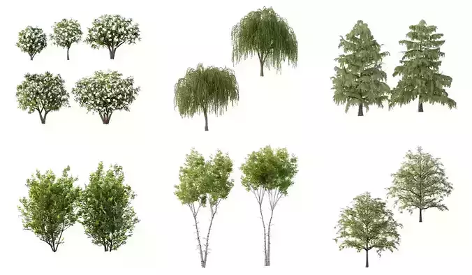 Excellent collection of Outdoor plants 15 Different Models 0031