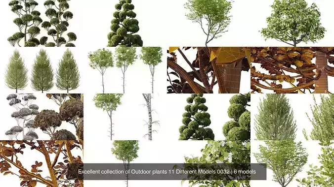Excellent collection of Outdoor plants 11 Different Models 0032